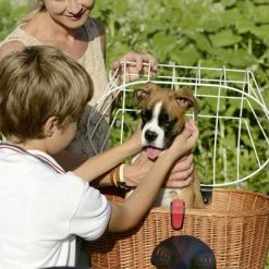 Kit Panier Vélo Chien Doggy Plus + Fixation GTA Klickfix 13 Kit Panier Vélo Chien Doggy Plus + Fixation GTA Klickfix -Remorques vélo Soldes kit panier velo chien doggy plus fixation gta klickfix full 6