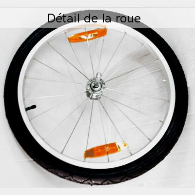 Remorque Pour Vélo Maxxus - 2 Places 6 Remorque Pour Vélo Maxxus - 2 Places – Image 4