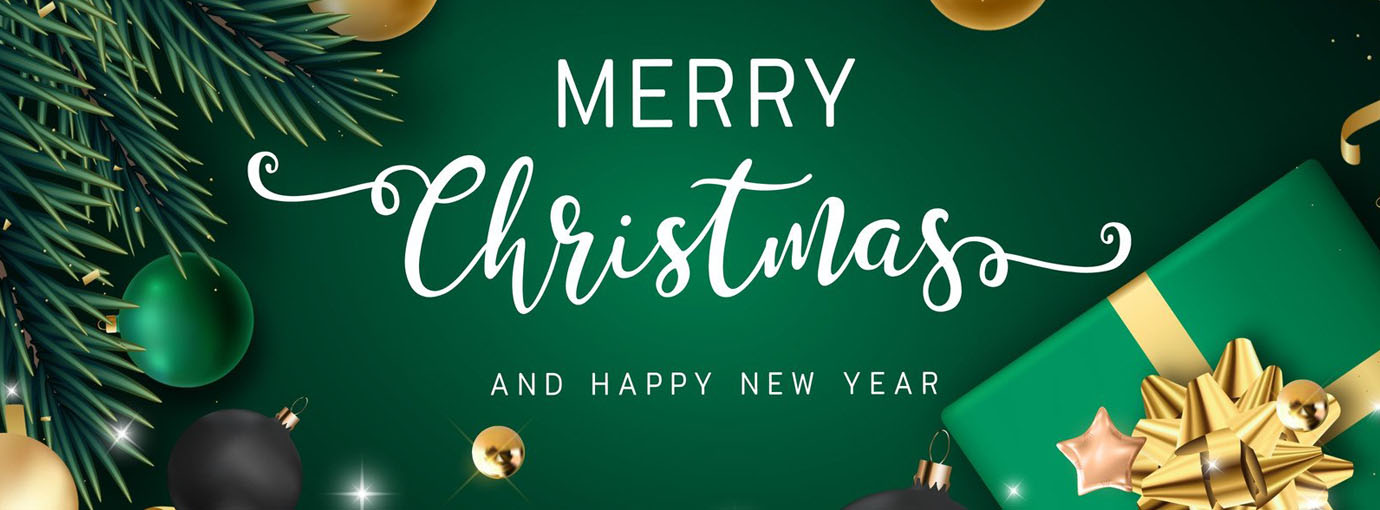 Remorques vélo Soldes -Remorques vélo Soldes 101 1